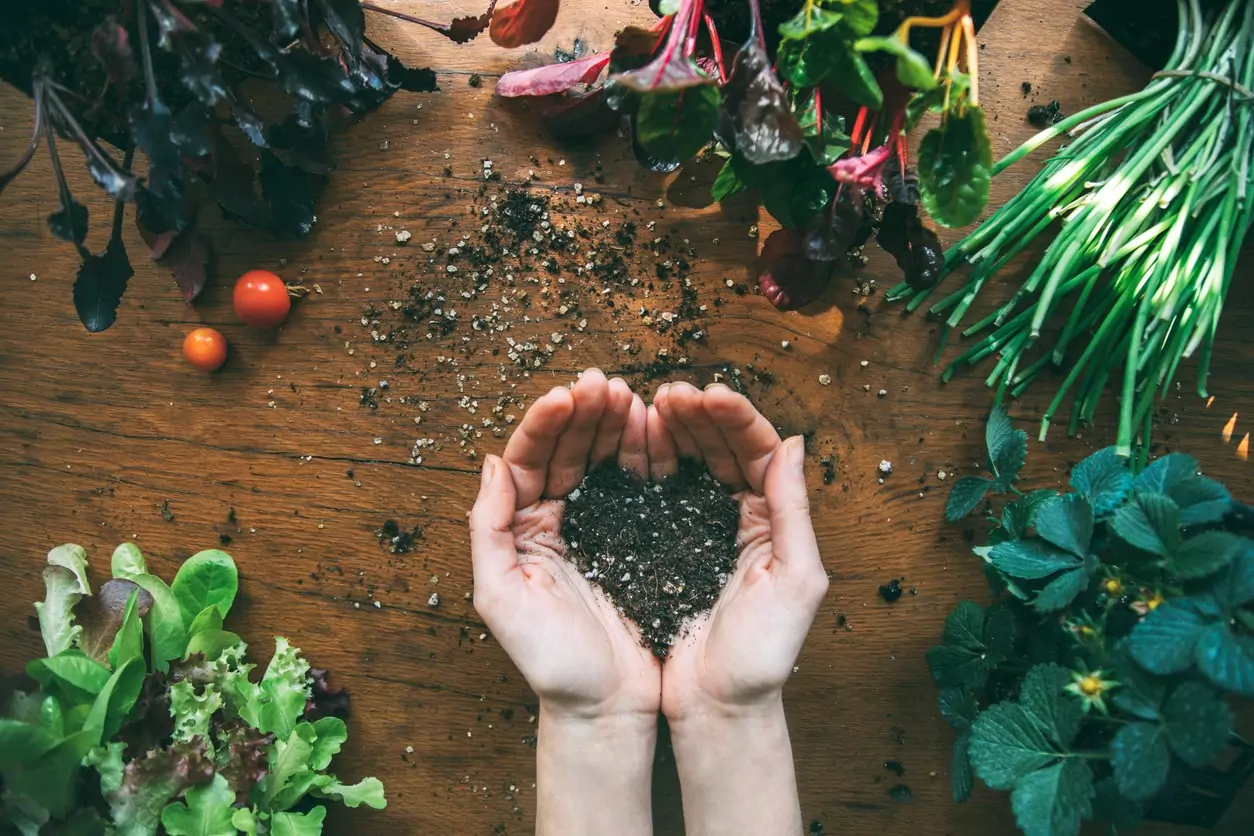 A pair of hands holding soil in the shape of a heart with plants in the background.