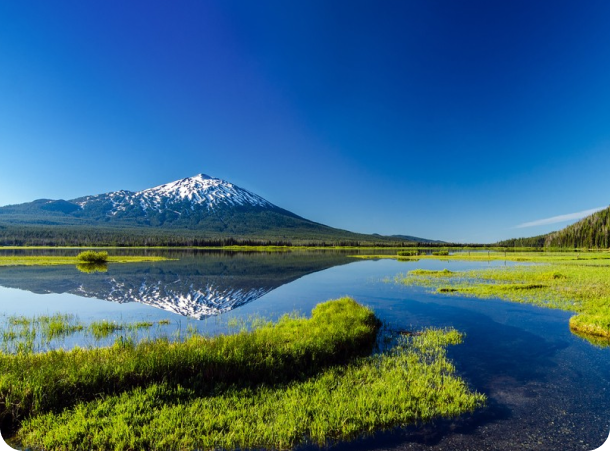 Supported Employment Services in Central and Eastern Oregon